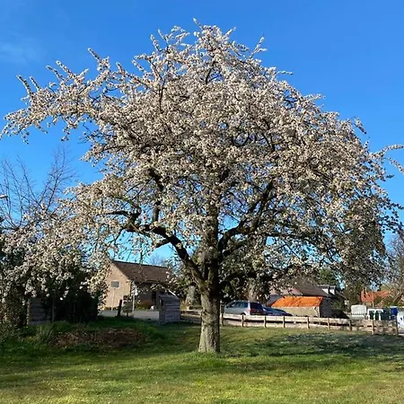 Op De Soursehof באקסם