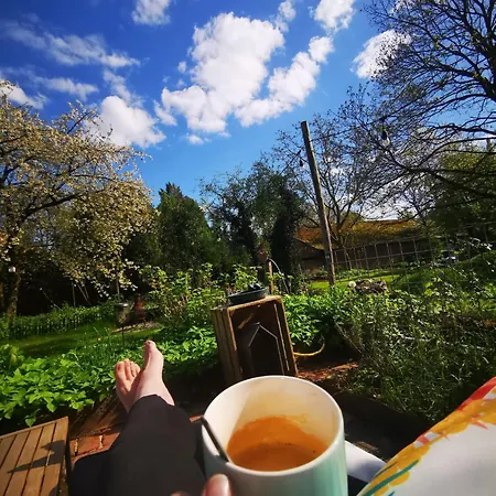 Op De Soursehof 3* באקסם