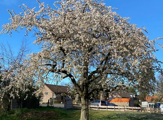 Op De Soursehof Baexem