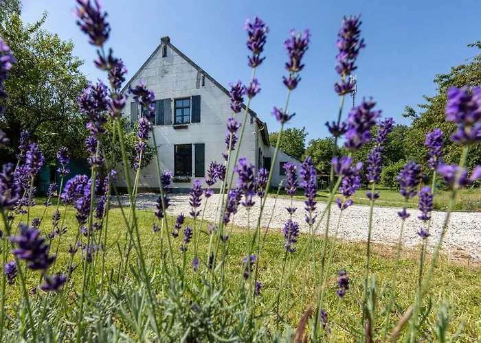 فندق مبيت وإفطار Op De Soursehof